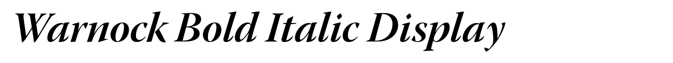 Warnock Bold Italic Display
